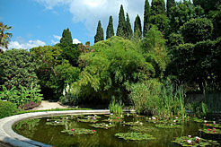 Бассейн с нимфеями у Нижнего входа в Никитский ботанический сад.
