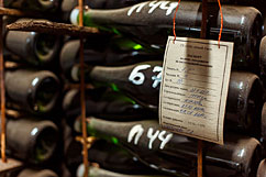 В ходе экскурсии по музею шампанских вин, можно узнать об истории Новосветского завода шампанских вин, получить представление о неординарном человеке – князе Голицыне, и понять, почему главным делом свей жизни, он считал производство шампанского.